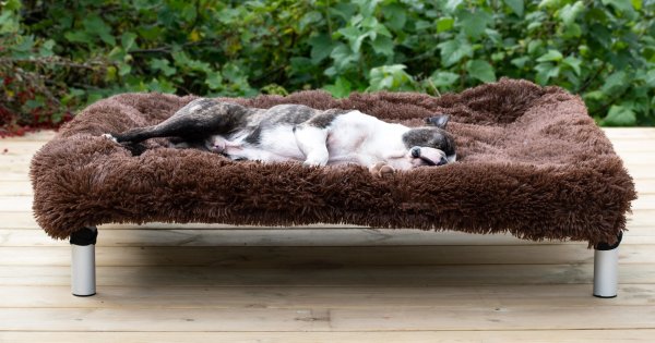 Zoom bild av Ergofluff Brun 103 x 78 x 4 cm