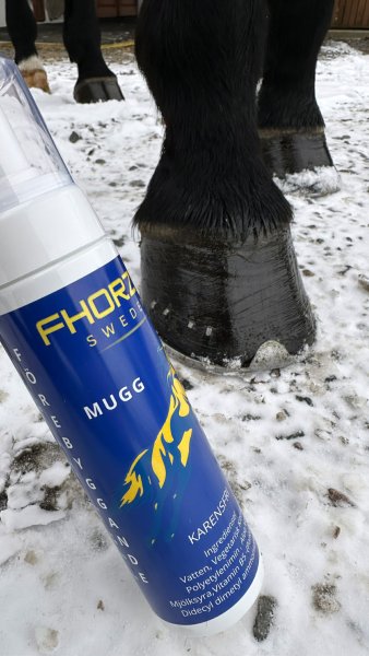 Zoom bild av FHORZE Förebyggande Rengöringsskum mot Mugg