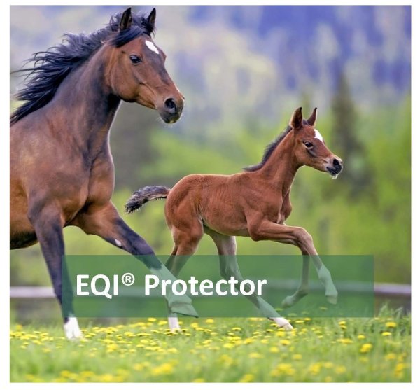 Zoom bild av EQI® Protector
