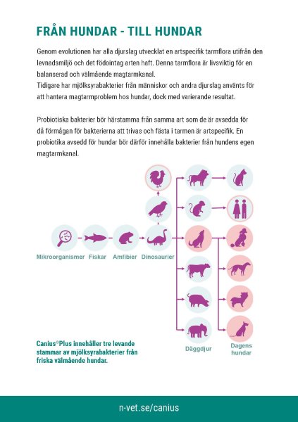 Zoom bild av Canius Plus 30 gr 