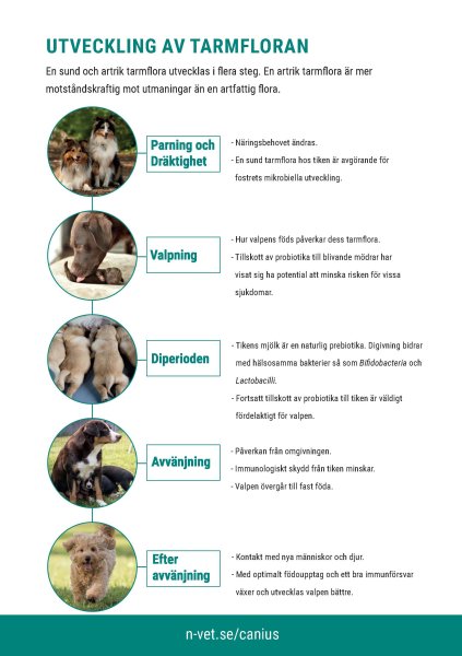 Zoom bild av Canius Plus 30 gr 